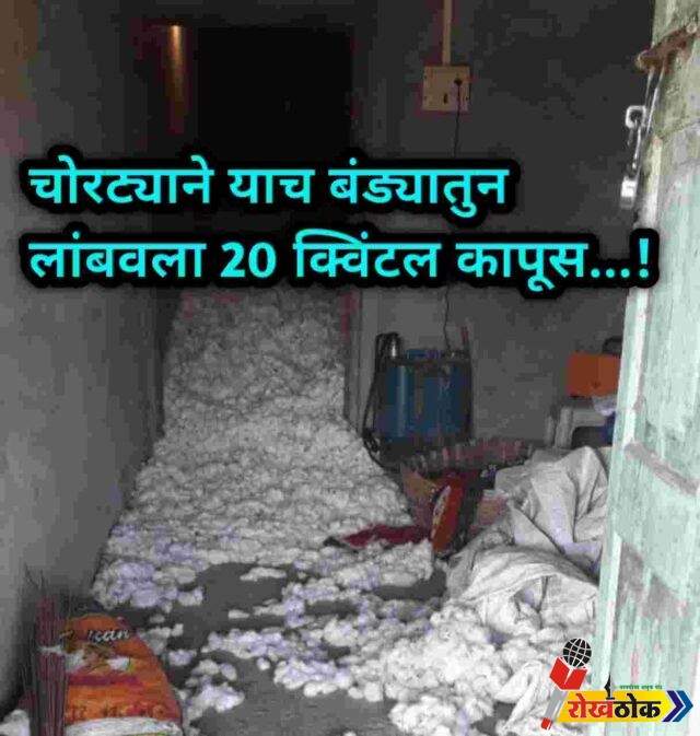 c1_20230208_18592809