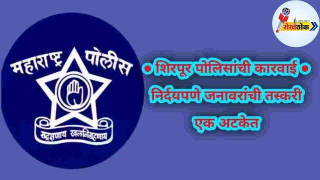 C1 20231212 08472381