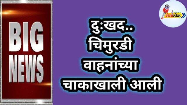 C1 20231225 20065366