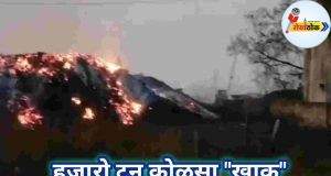 C1 20240330 11323003