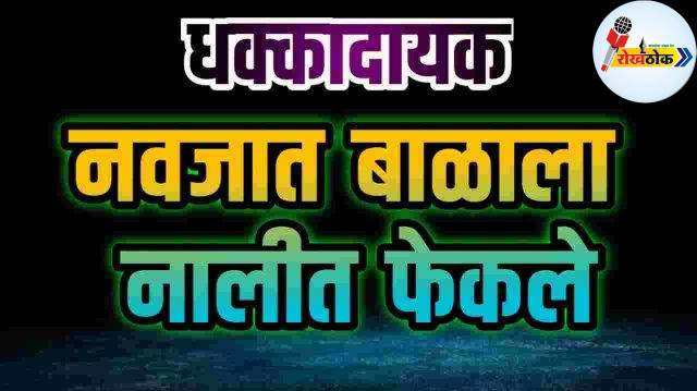 c1_20250105_20341178 C1 20250105 20341178