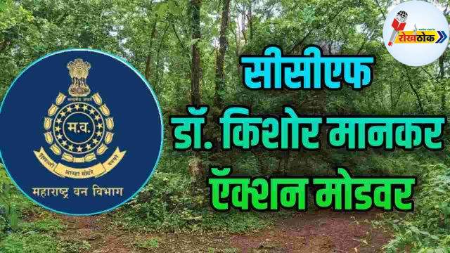 C1 20250806 15505509