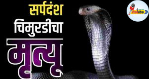 C1 20251012 10271434