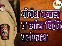 अवैध गोवंश कत्तल व मांस विक्रीचा पर्दाफाश C1 20251215