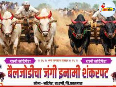 ‘बैलगाडा शर्यत’ आकर्षक बक्षिसांची लयलूट C1 20260324